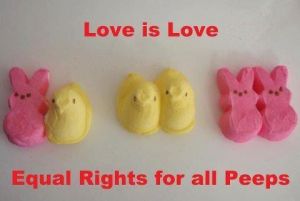 equal-rights-peeps